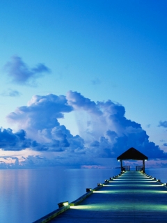 Titolo del paragrafo